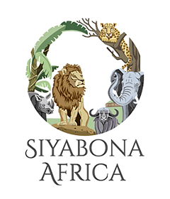 wildlife safari 